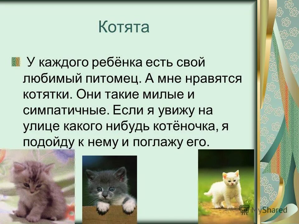 Сочинение описание мое любимое животное. Сочинение про кошку. Рассказ о любимом животном. Сочинение про любимое животное.