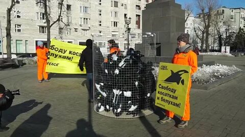 Гринпис против