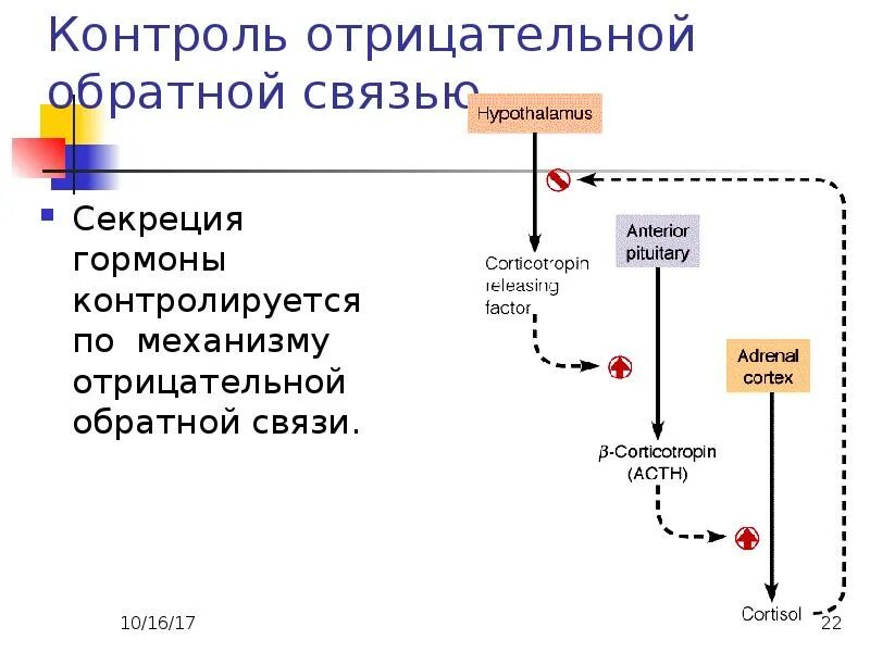 Принцип обратной связи гормонов гипофиза. Механизмы положительной и отрицательной обратной связи гормонов. Механизм отрицательной обратной связи. Положительная и отрицательная Обратная связь в регуляции. Схема отрицательной обратной связи гормонов.