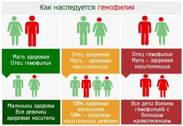 Как передается гемофилия. Наследование гемофилии. распространение гемофилии. механизм наследования гемофилии. гемофилия тип наследования.
