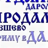 Даром камышин
