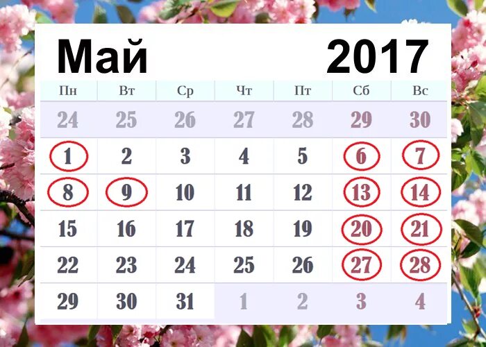 Календарь май 2025г с праздниками и выходными Календарь выходных на майские: найдено 86 картинок