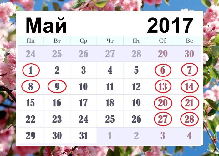 Календарь выходные 2017. Май 2017 года календарь. Календарь май 2017г. Майские праздники в 2017 году. Праздники в мае 2017 года.