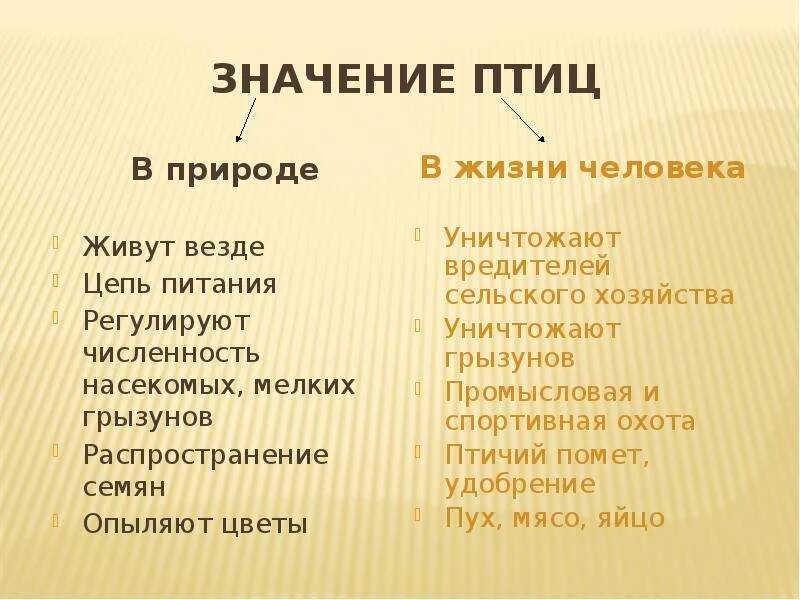 Значение птиц в природе конспект. Значение птиц в жизни человека. Значение птиц в природе. Значение птиц в природе и жизни человека. Значение птив в природе и жизни человека.