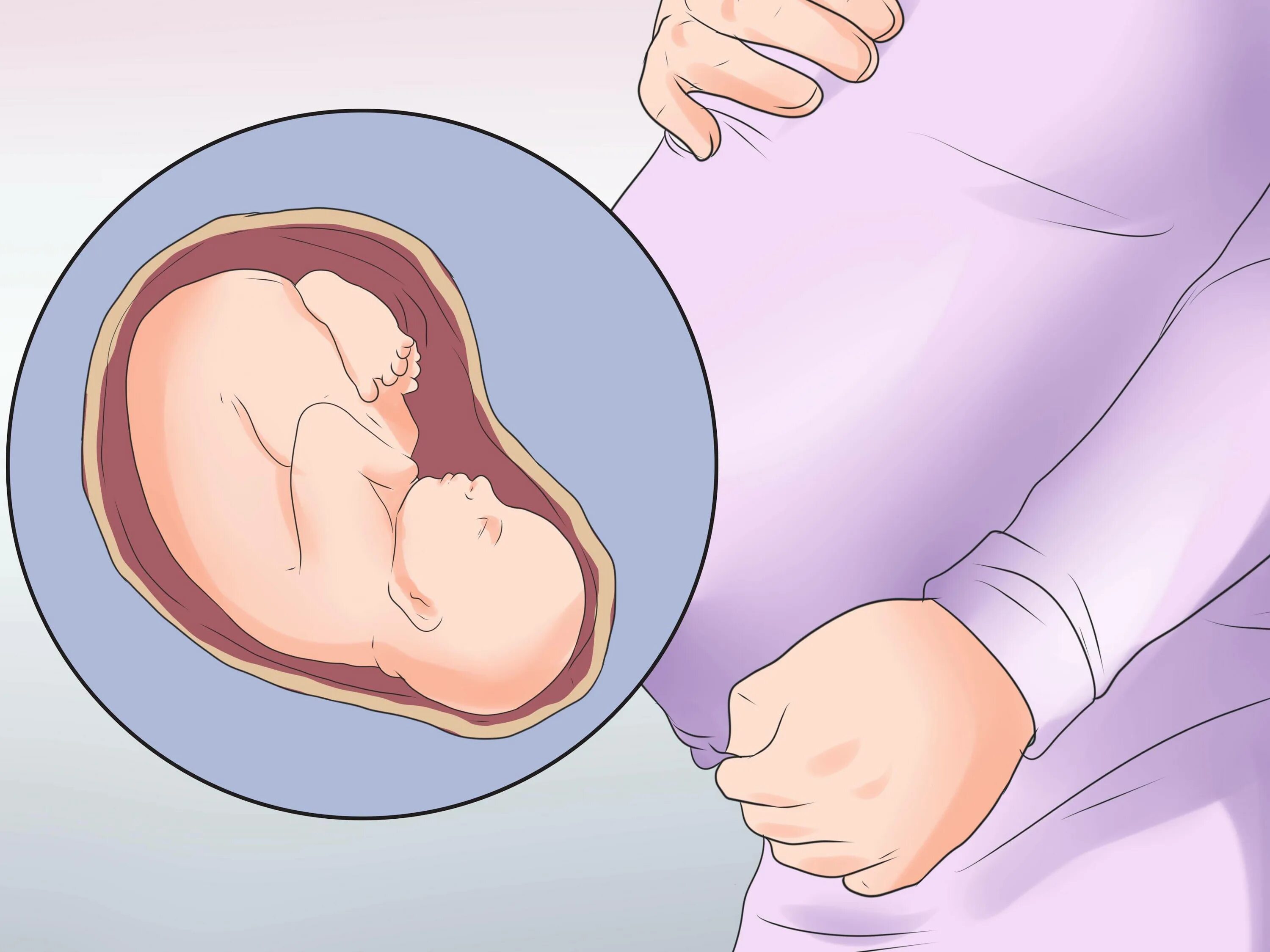 Б п родов. Плод на 40 неделе беременности. Эмбрион на 40 неделе беременности. Беременность картинки.