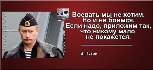 Союзник цитаты. Союзник цитаты