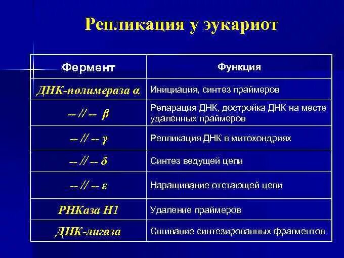 Укажите функцию ферментов. Ферменты репликации прокариот. Ферменты репликации эукариот. ДНК полимеразы эукариот. Ферменты репликации прокариот и эукариот.