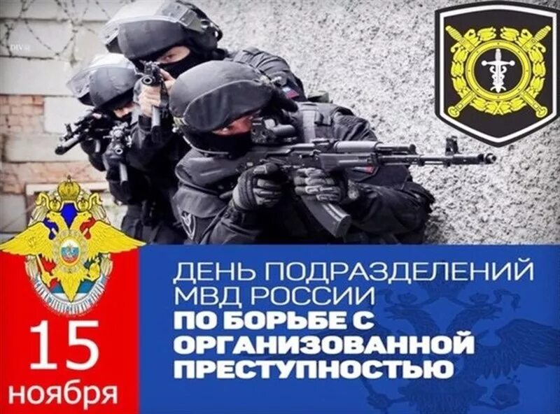 15 ноября картинки. День подразделений с организованной преступностью. День по борьбе с организованной преступностью. День подразделений по борьбе с организованной преступностью в России. 15 Ноября день подразделений по борьбе с организованной преступностью.