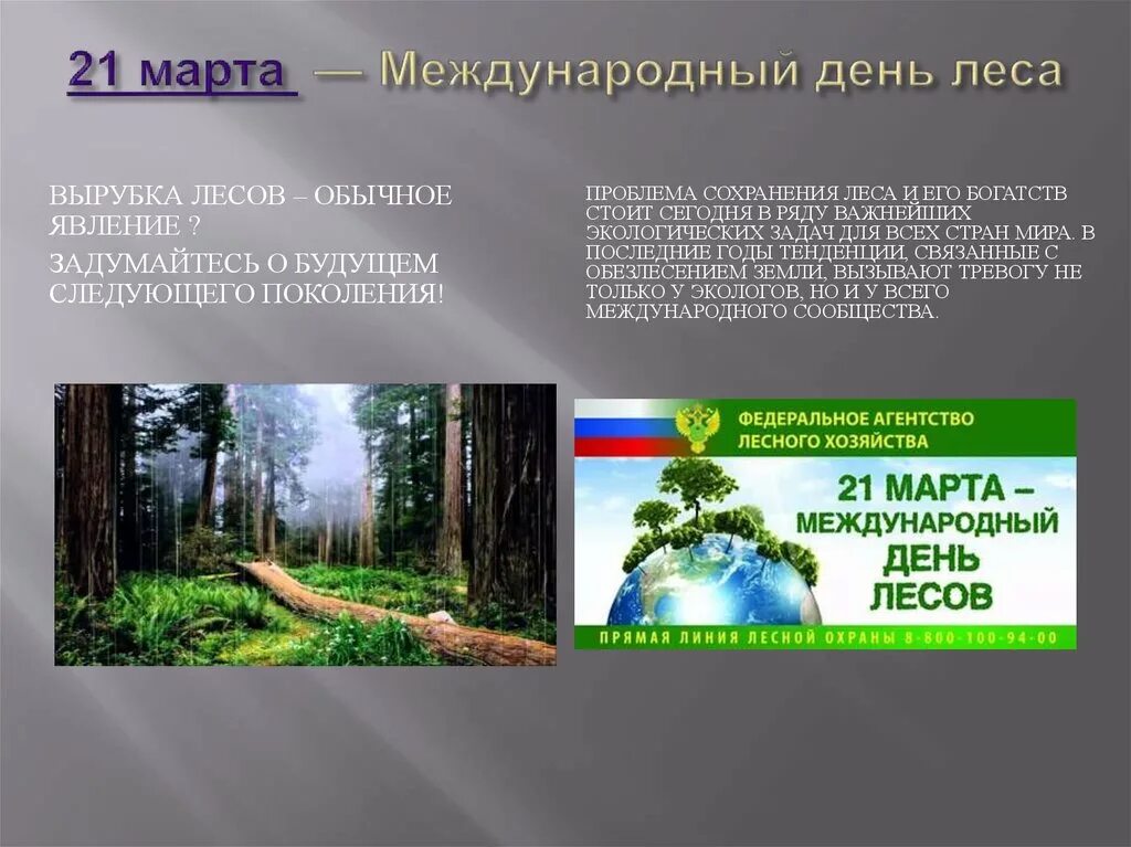 21 международный день леса. Международный день лесов. Международный день леса презентация. Международный день лесов сообщение.