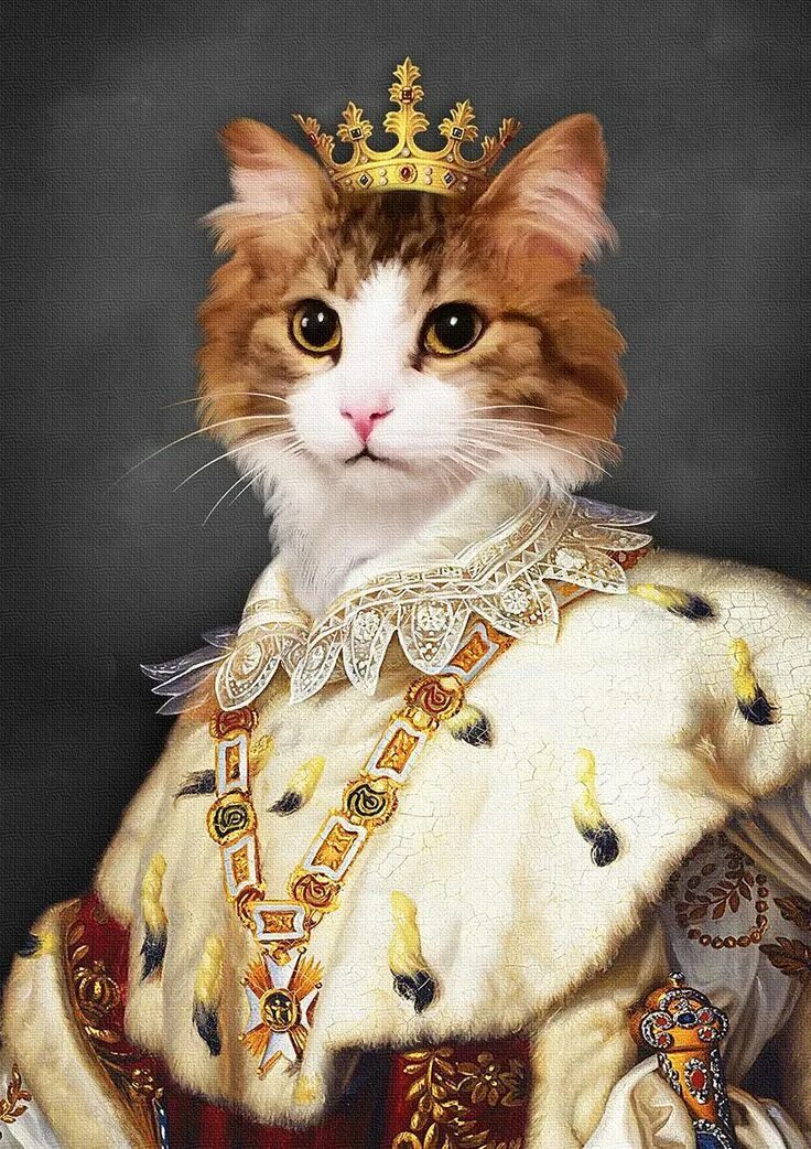 Кошечки королевы. Коты-короли Tokuhiro Kawai. Токухиро Каваи коты короли. Кот царь.