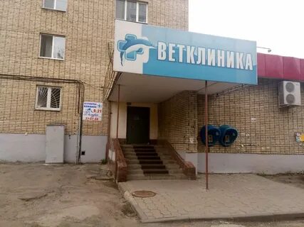Ветеринарные клиники тула адреса