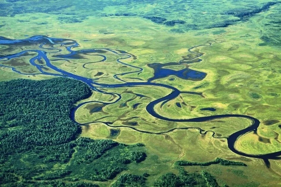 Самые большие реки на планете земля