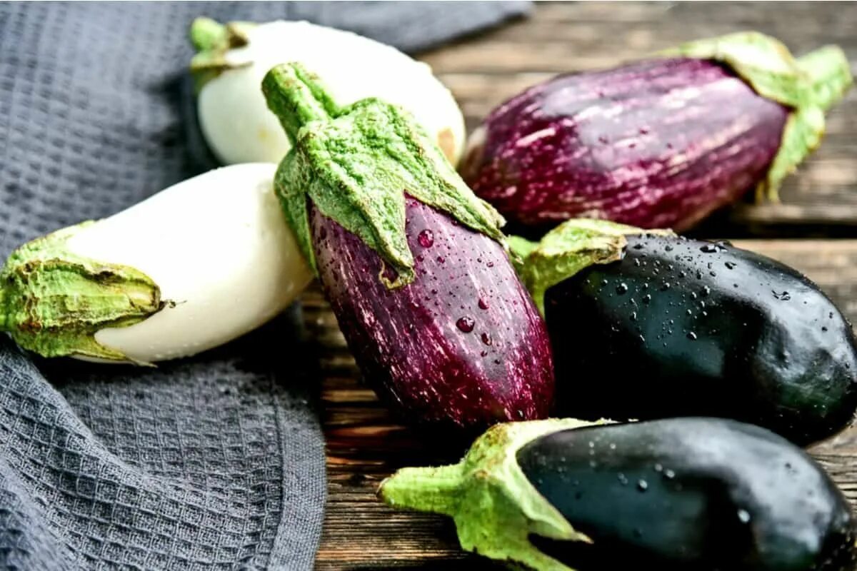 Какой плод баклажана