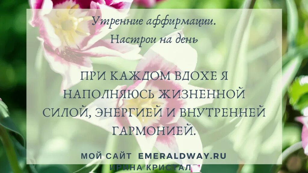 Аффирмации на русском. Настрой на день аффирмация. Утренние аффирмации позитивные. Позитивные аффирмации для женщин. Аффирмации на утро для женщин.