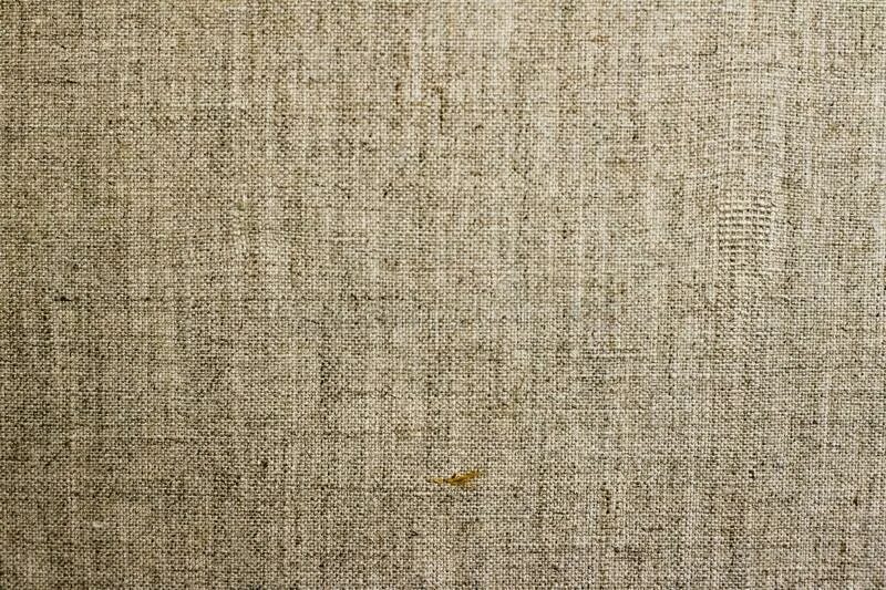 Canvas line. Льняной холст сзади. шпон льна фактура. льняной холст три дня дождя. linen canvas.