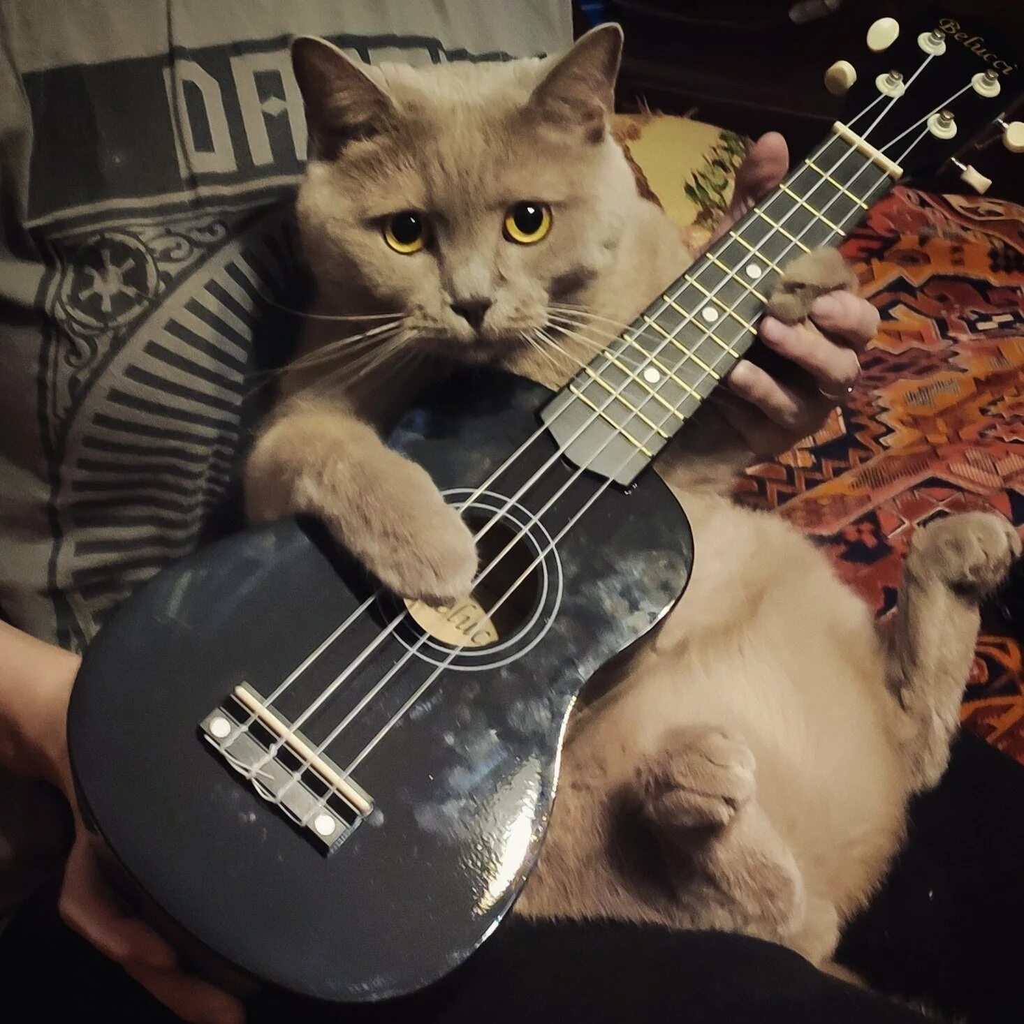 Какую нибудь спеть