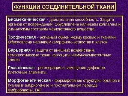 Способности соединительной ткани