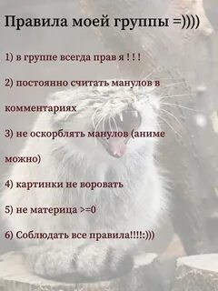 Правила группы образец