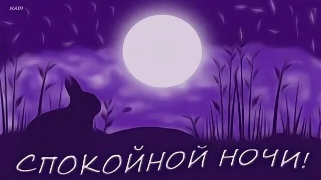 Тик ток спокойной
