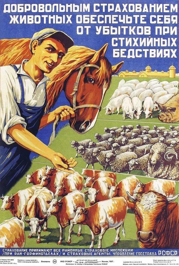 Страхование сельскохозяйственных животных