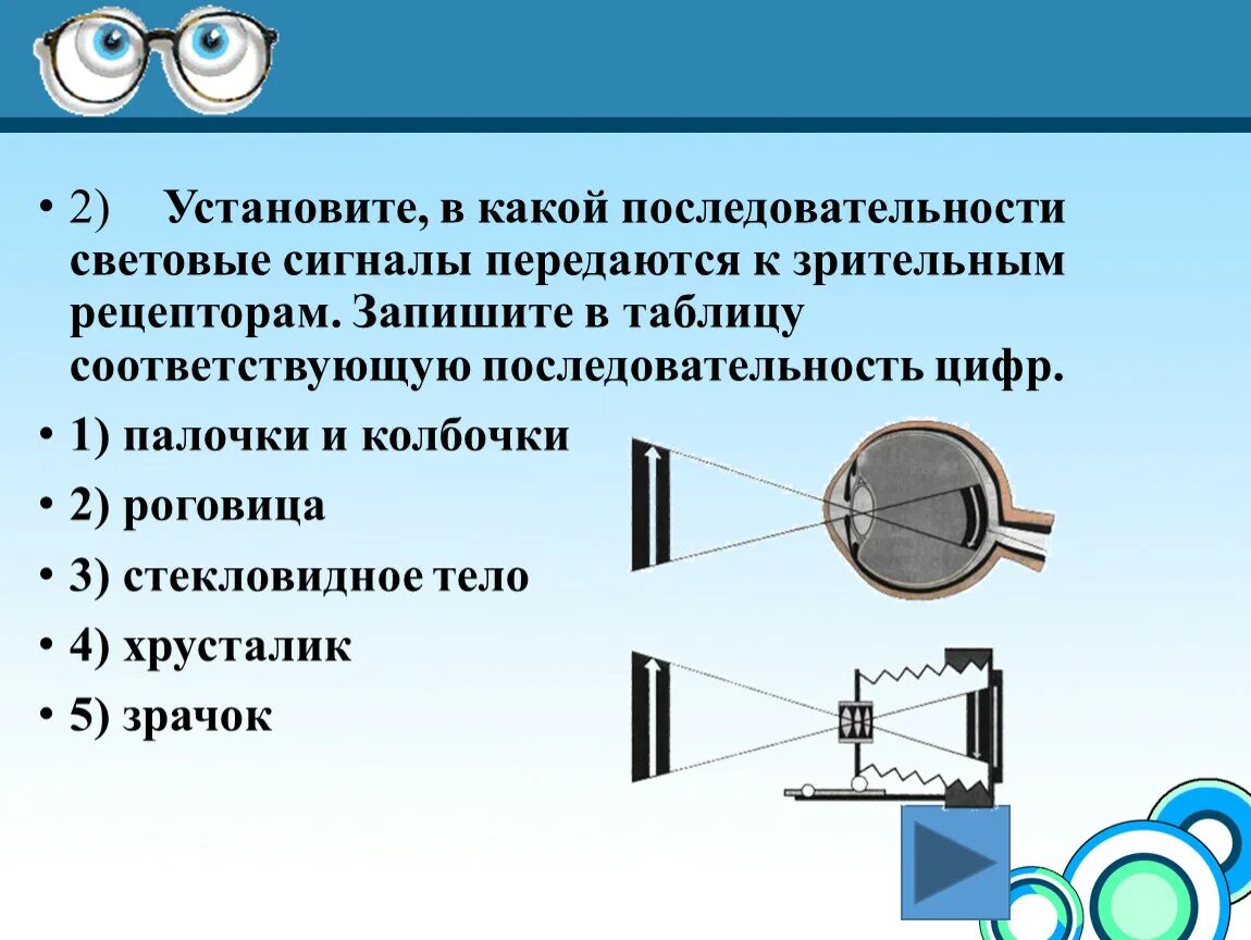 Прохождение луча света в глазном. Световые сигналы к зрительным рецепторам. Последовательность световых сигналов к зрительным рецепторам. Передача светового сигнала по структурам глаза. Передача световых лучей на зрительные рецепторы.