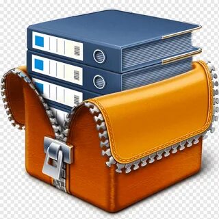 D document