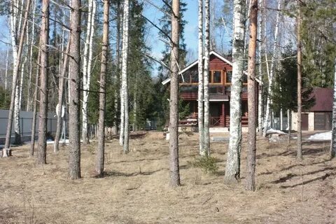 Кировские дачи выборг
