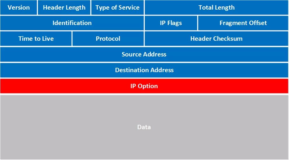 Policy header. Пакет ipv4. ipv4 header. формат ipv4.