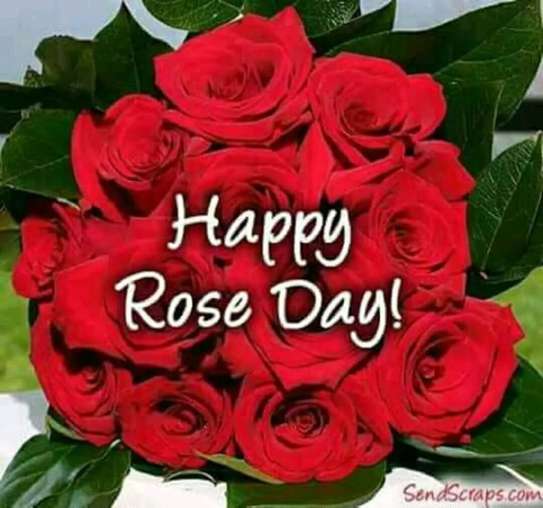 Happy rose day 7 feb. The day rose. Roses happy. The day rose. Happy rose day 7 feb.