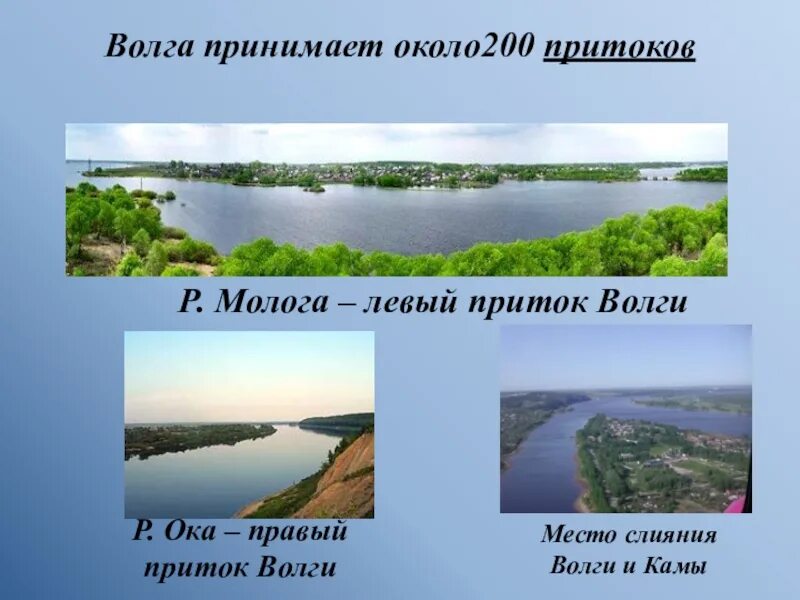 Название крупнейших притоков волги. Река Волга притоки Ока и Кама. Река Кама левый приток Волги. Река Волга притоки Волги. Притоки Волги правые и левые.