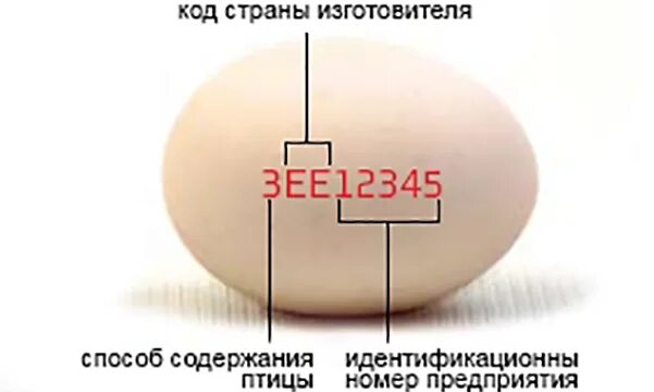 С0 с1 с2 на яйцах. Маркировка яиц. Обозначение куриных яиц. Маркировка на яйцах с1. Инкубационное яйцо маркировка es.