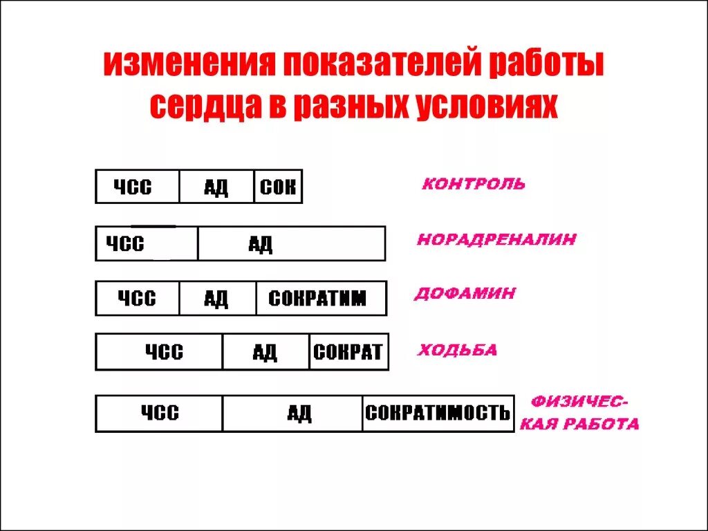 Изменения в работе сердца. Показатели работы сердца. функциональные показатели работы сердца. изменения показателей деятельности сердца.
