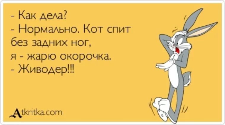 Что ответить на вопрос как живете. Что ответить на вопрос как живете