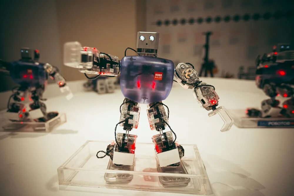 Robot show. Самые милые роботы. чемпионат по робототехнике. robots 2025. фотографию самых милых роботов.