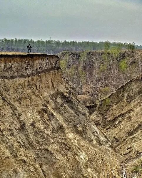 The coast of Dravert, Omsk region, Gorky district. Have you visited this amazing