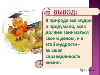 Справедливости окружающий мир