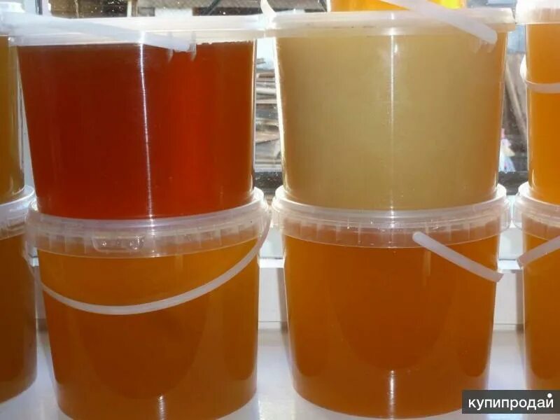 Продам мед. Разнотравье. Собран в конце июля 2023 года в Алтайском крае. Дегуста