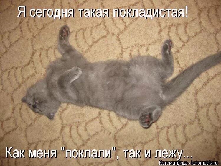 Спать на кухне. Дом 2 смешные картинки. Слово покладистый. Слово покладистый. Слово покладистый.