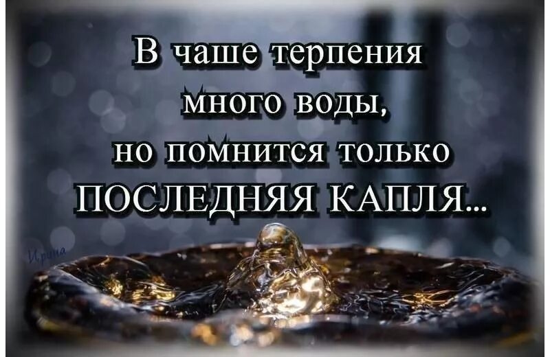 Ребята слышали стук дверь открыть побоялись. Шутки про годовщину свадьбы. Терпение и терпимость. Пословицы и поговорки о терпении и терпимости. Пословицы о терпении.