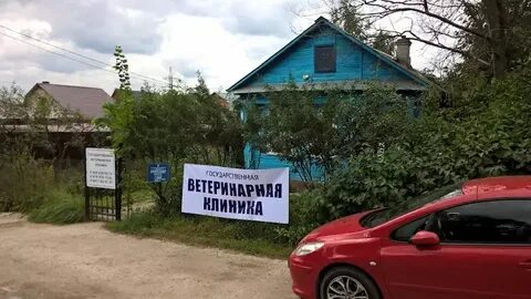 Остров клиник
