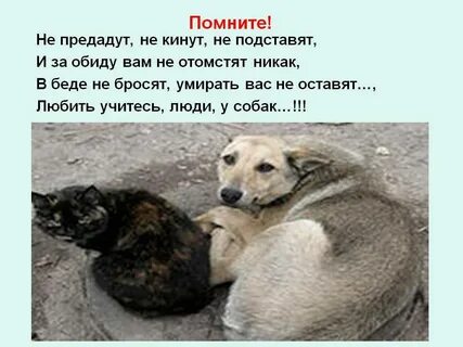 У каждого животного была