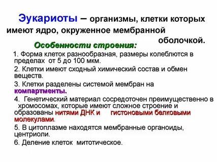 Организация клеток