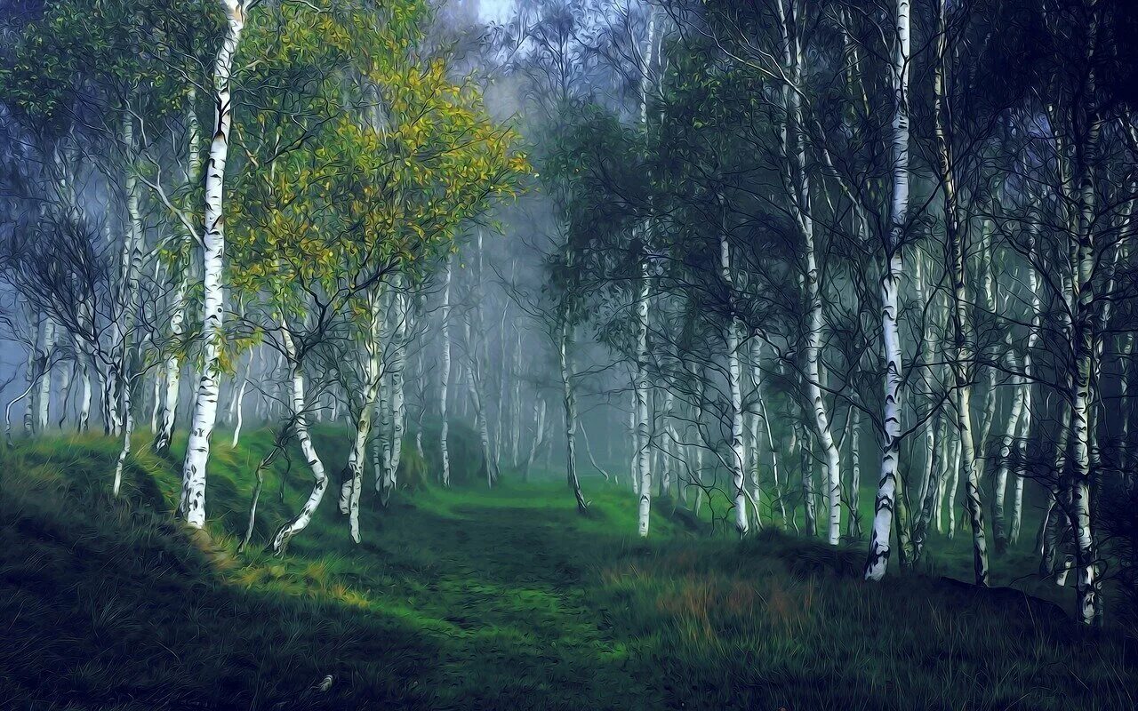 В лесу под березами были. Природа березы. березовый лес. березовая роща. пейзаж с березами.
