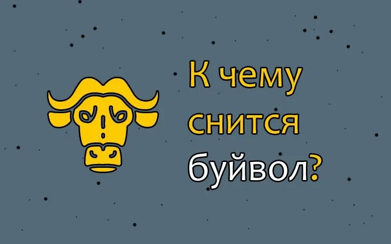 К чему снятся быки женщине во сне. К чему снятся быки женщине во сне