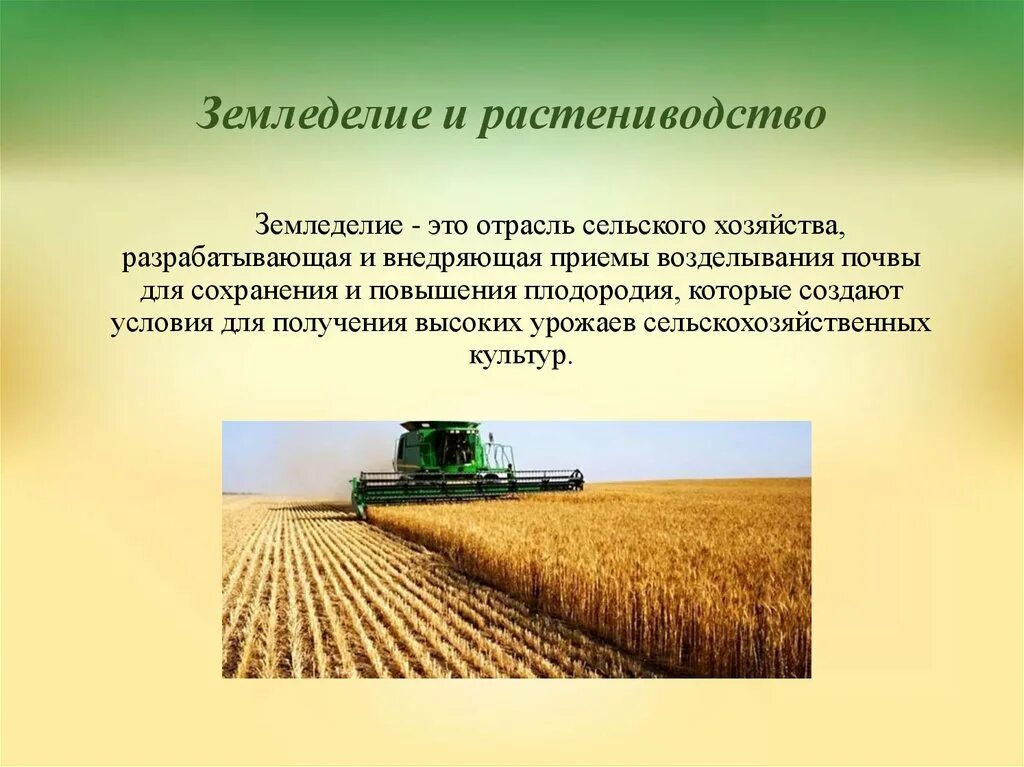 Технологии производства сельскохозяйственной продукции. Технологии в сельском хозяйстве. Технологии сельскохозяйственного производства и земледелия. Технология сельскохозяйственного производства. Отрасль производства сельское хозяйство.