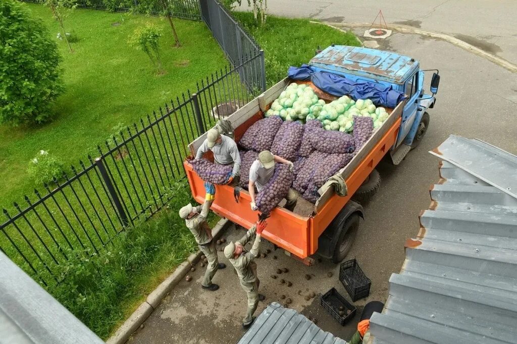 фура с картошкой. фура с картошкой. сетки картофеля на складе. грузовой автомобиль сельское хозяйство. картошка в сетке.