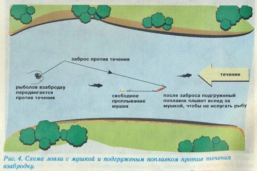 Ловля хариуса на мушку с поплавком. Ловля хариуса на мушку спиннингом летом. Оснастка спиннинга для ловли на мушку с поплавком. Ловля хариуса на мушку спиннингом. Направление течения воды рыбы определяют