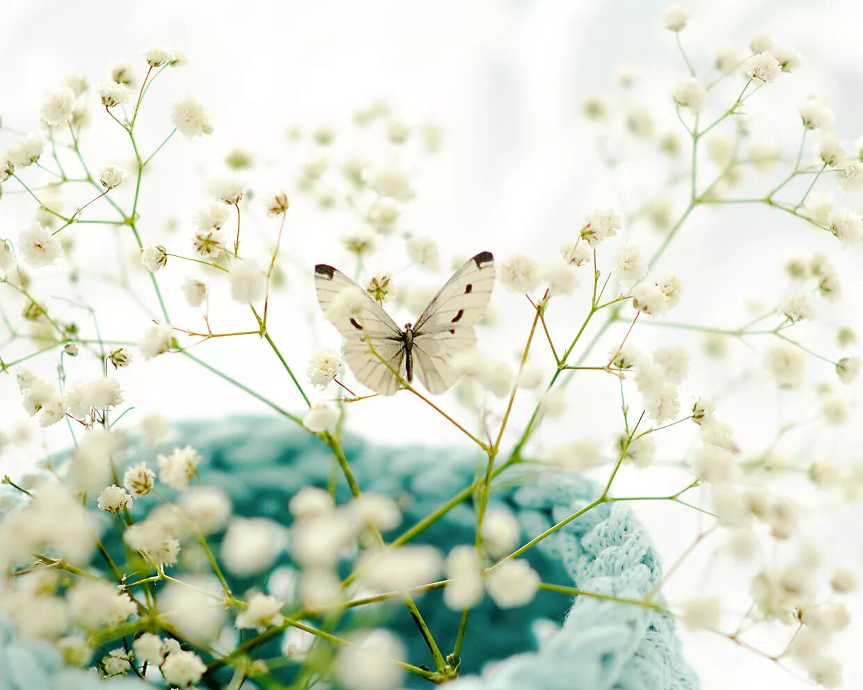 Найди нежно. Обои в цветочек для спальни. Цветочные обои в спальне. Нежность природа. Сиреневые цветы.