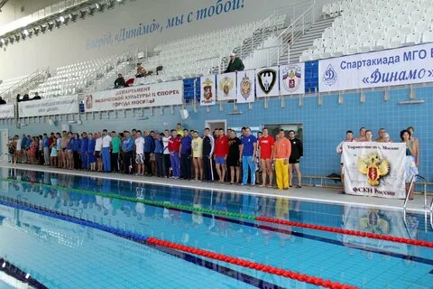 Динамо бассейн водный стадион расписание