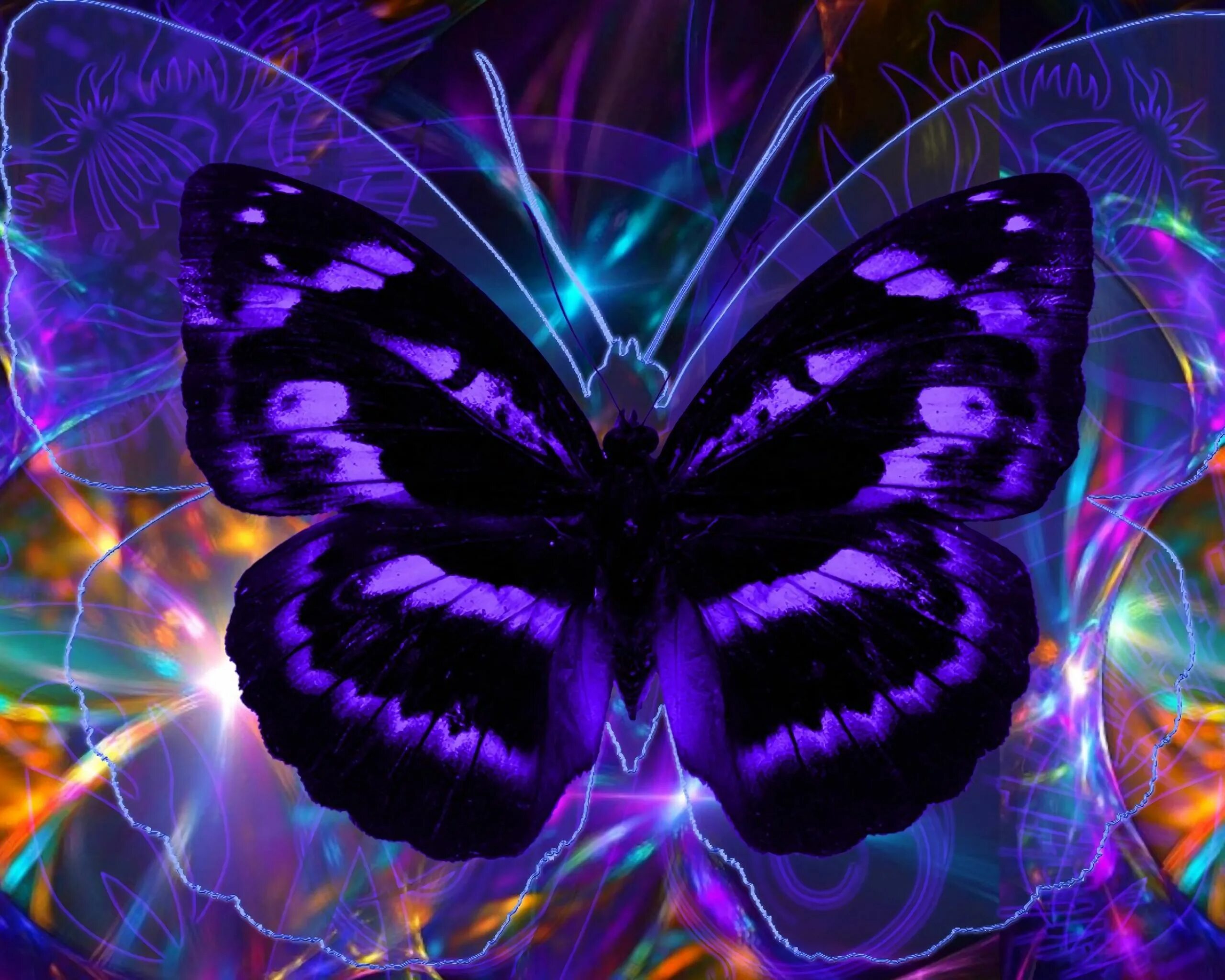 Аватарки бабочки
